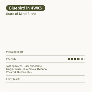 Bluebird (Jar of 30 Pods)
